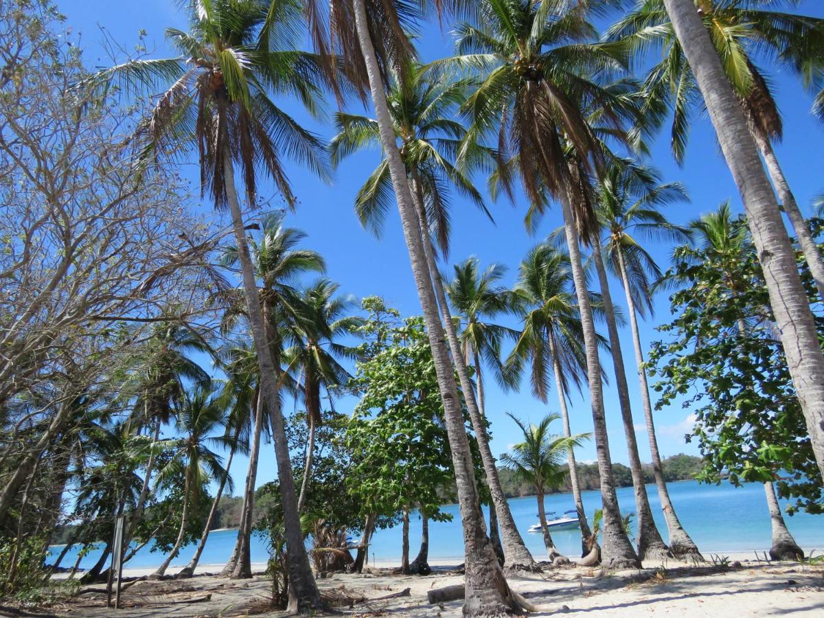 Bocas Del Mar Hotell Boca Chica Eksteriør bilde
